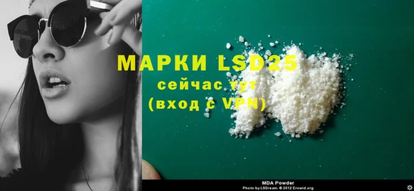 сатива Беломорск