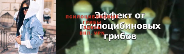 круглые Белокуриха