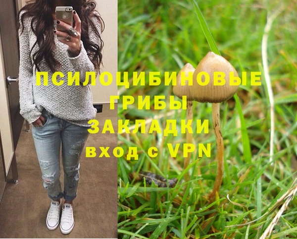 дмт Богородск