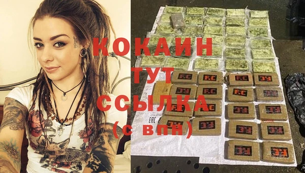 сатива Беломорск