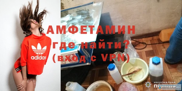 сатива Беломорск