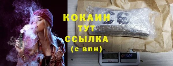 сатива Беломорск
