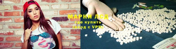 сатива Беломорск