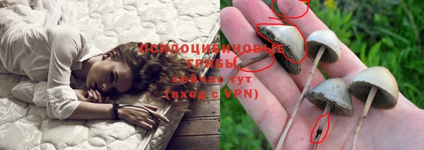 наркотики Богданович