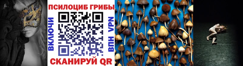 Галлюциногенные грибы Psilocybe  Ясногорск 