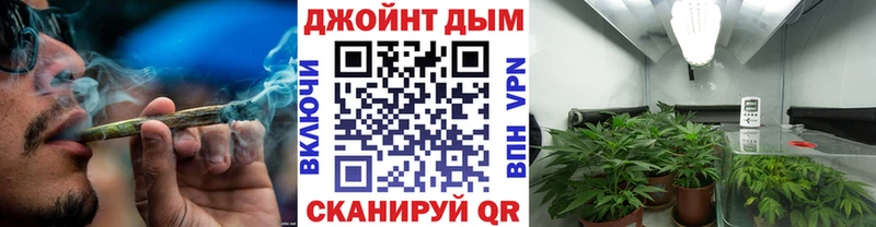 магазин    Ясногорск  Шишки марихуана сатива 